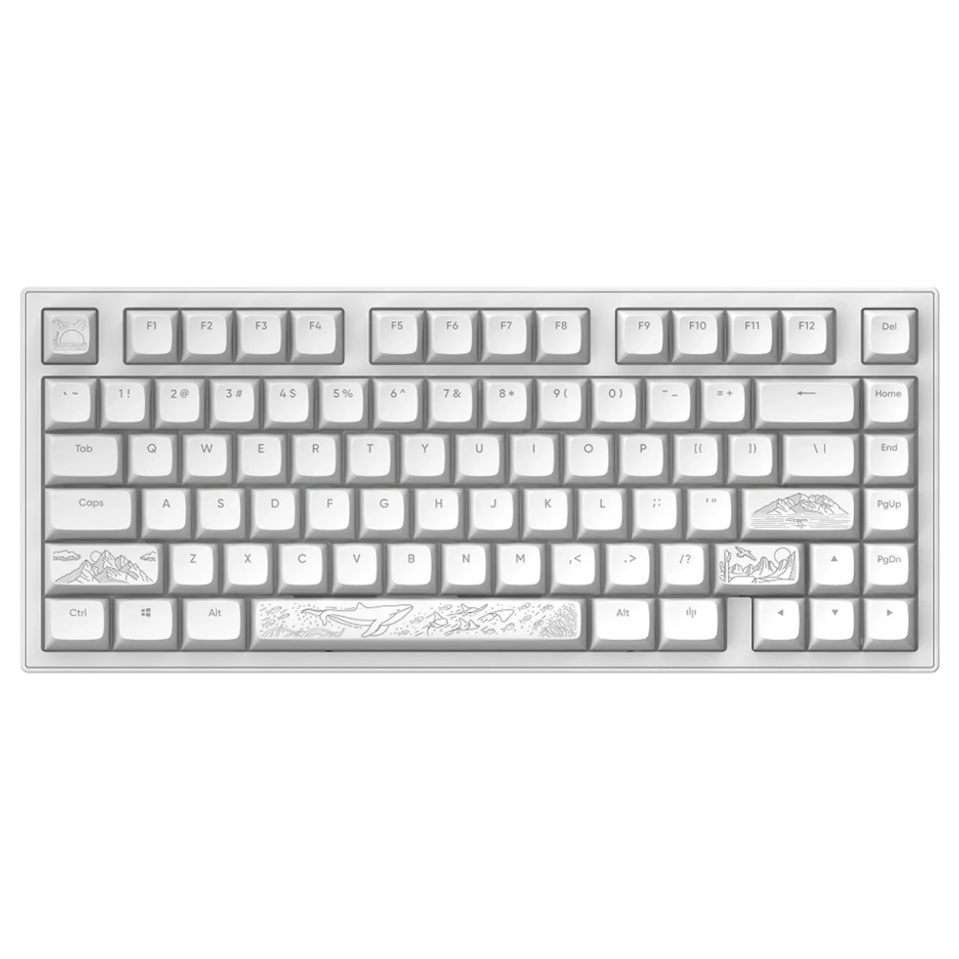 DARK PROJECT Terra Nostra US White Tastatura